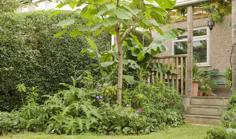 Lia Leendert'z garden