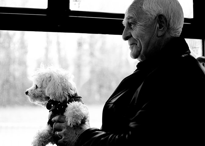 Dog photographer: Amie Lipley's photograph of an old man and dog on the bus