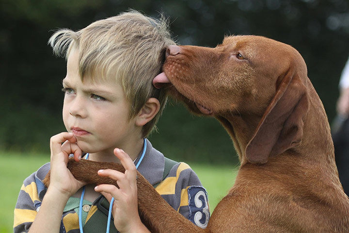 Notebooks: Man’s Best Friend