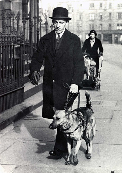 Guide dogs: Archive guide dog image