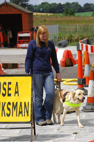 Guide dogs: Guide Dogs training schools