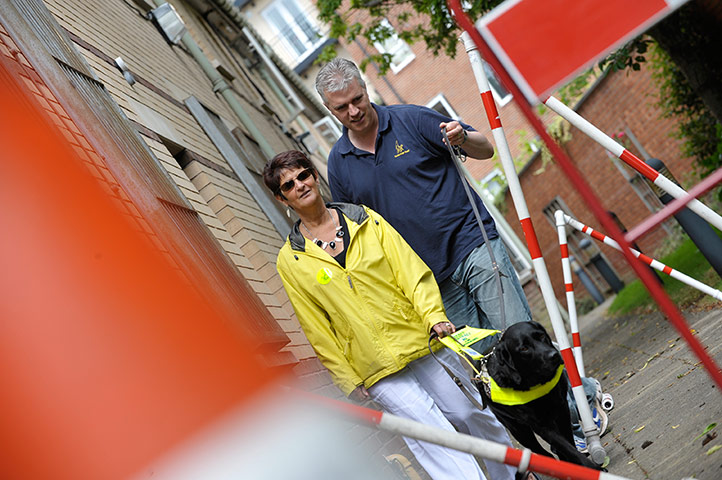 Guide dogs: Guide dog matching
