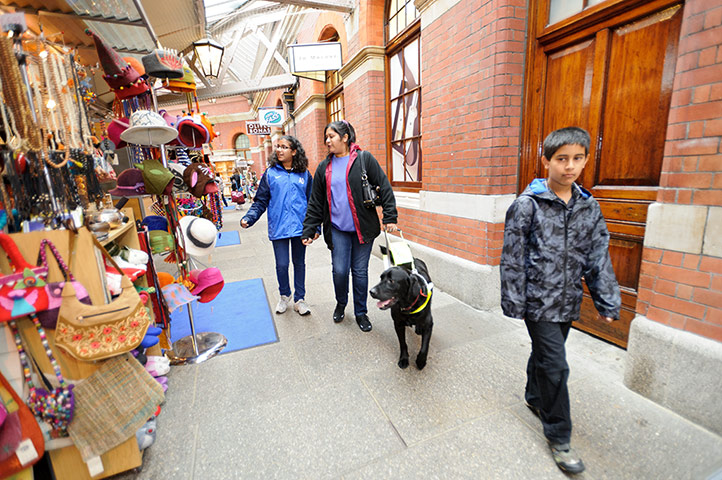 Guide dogs: Guide dog costs