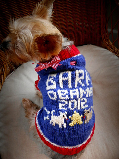 Obama craft: Obama dog jumper