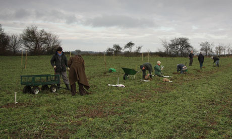 Tree planting at the Oak Tree low carbon farm
