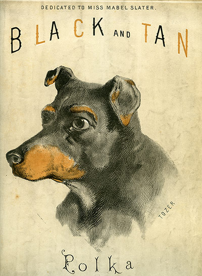 Manchester terriers: Black and Tan