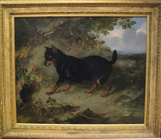 Manchester terriers: Rabbit hole