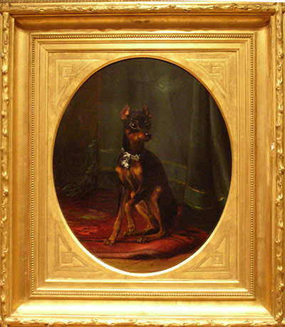 Manchester terriers: Portrait