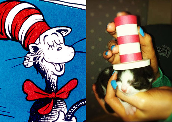 Cat lookalikes: Cat lookalike: Cat in the hat