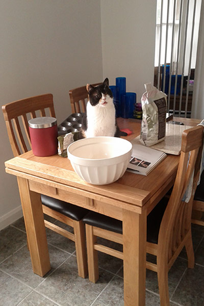 Special talent: Squinty