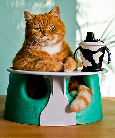 Special talent: Mr Haywood