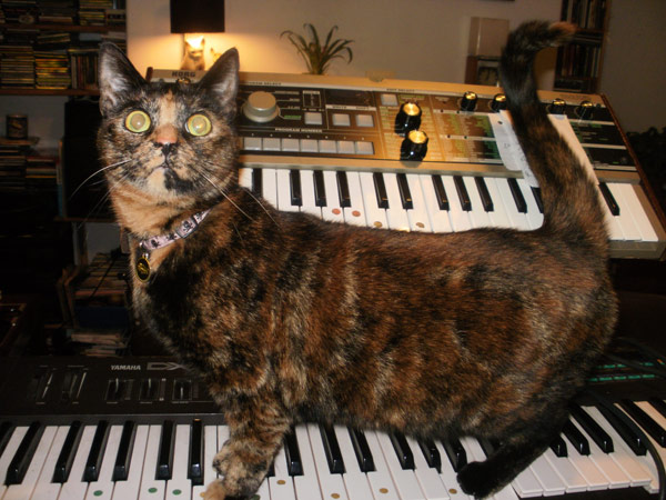 Special talent: Coco