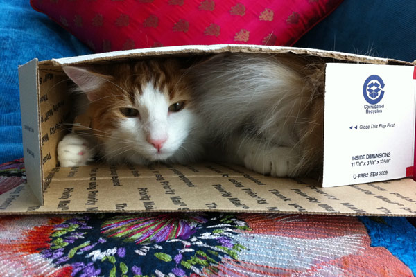 Special talent: Immanuel von Bennigsen