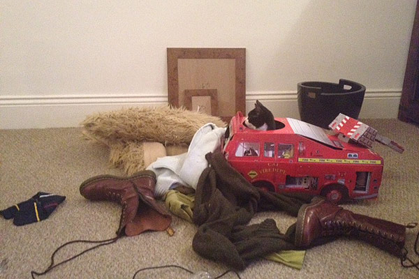 Special talent: Brodie