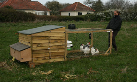 Homemade Chicken Pens