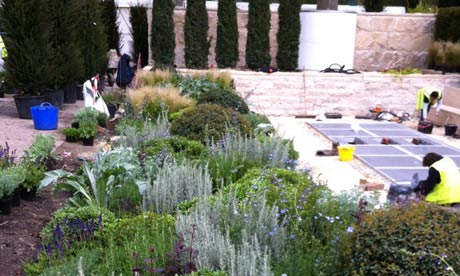 Tom Hoblyn's 2012 Chelsea garden takes shape