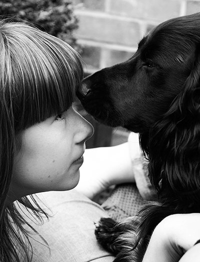 Dog photography: Megan Smith