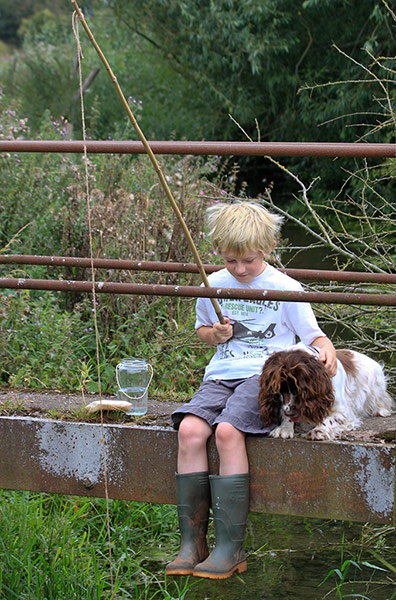 Dog photography: Clare Chick