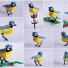 Blue-tit-made-of-Lego-by--001-thumb-296.jpg