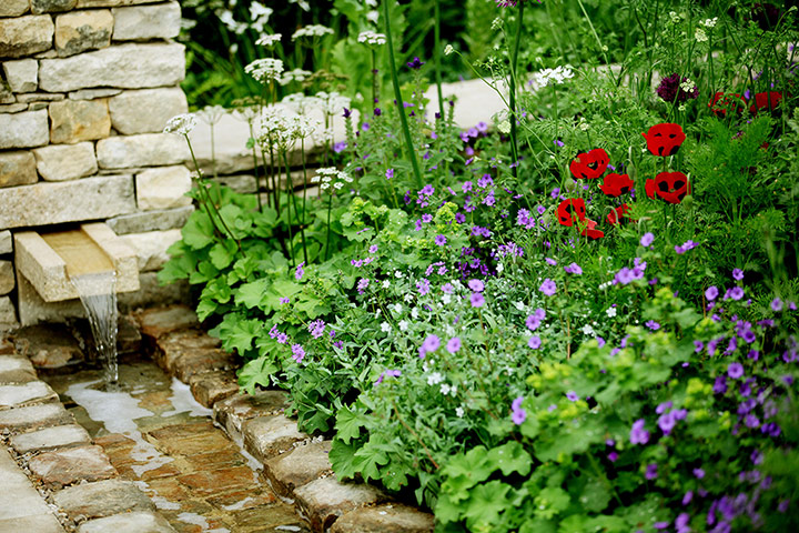 2012 Chelsea flower show: A close-up of Cleve West's garden
