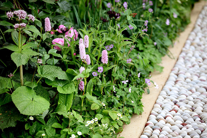 2012 Chelsea flower show: The Laurent Perrier garden