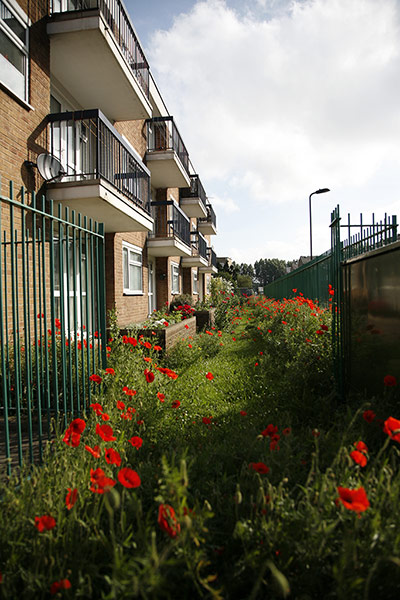 Chelsea fringe 2012: Chelsea Fringe: Clapton Park Estate, Hackney