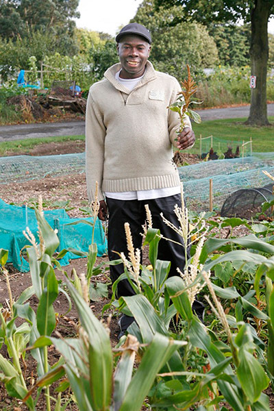 New Urban Green: Sowing Seeds project