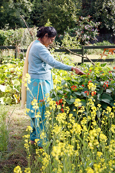 New Urban Green: From Concrete to Coriander project