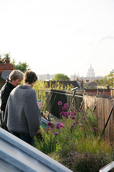 New Urban Green: Perdita Fenn's roof garden