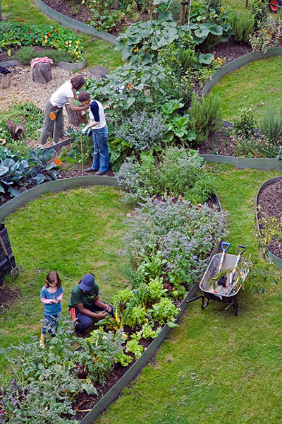 New Urban Green: Fritz Haeg Edible Estates