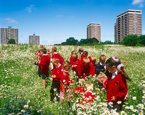 New Urban Green: Landlife meadows