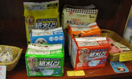 Dog nappies being sold in Japan