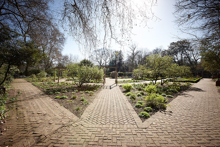 Garden: Angle before