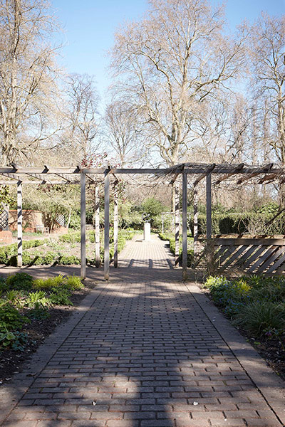 Garden: Pergola before