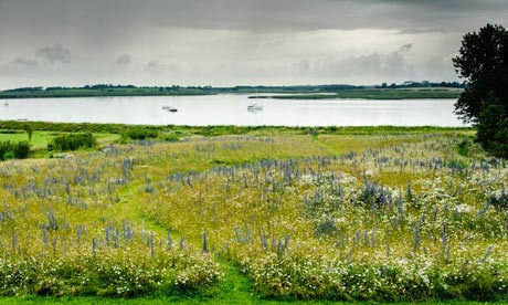 View across the River Alde