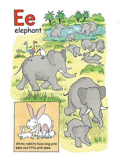 Alphabet : E is for elephants