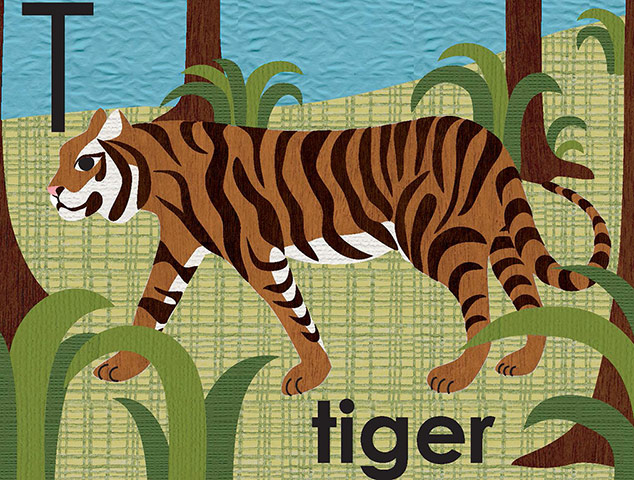 Alphabet : T is for tiger