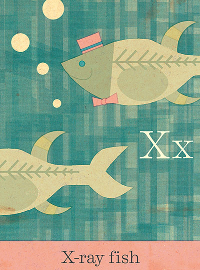 Alphabet : X is for Xray fish