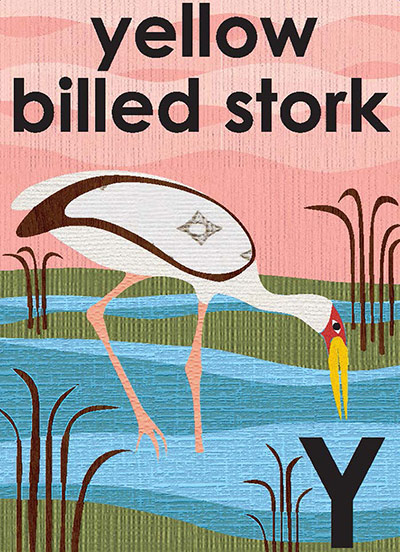 Alphabet : Y is for yellow billed stork