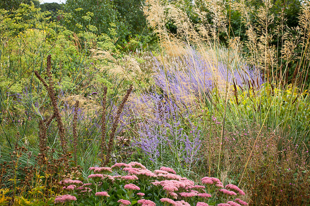 Prairie garden border