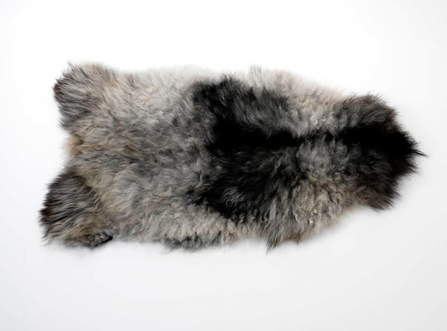 Wool Week gallery: Sheepskin rug