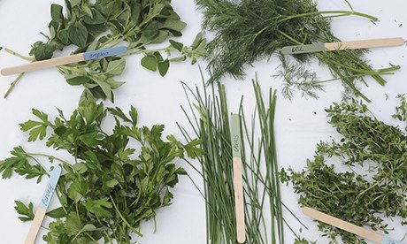 Kitchen tips: a bunch of heres