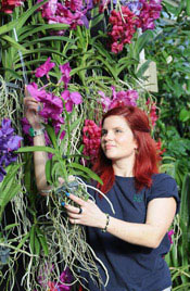 Elisa Biondi, horticulturalist in the Princess of Wales conservatory, tends vanda orchids 