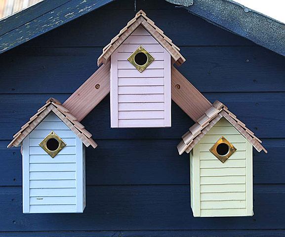 Bird boxes: New England style nest box