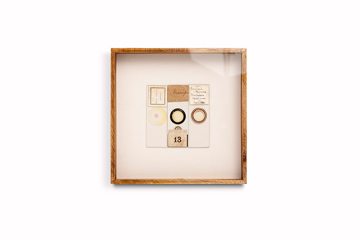 Valentine's day gifts: Hannah Brown microscope piece