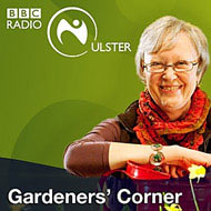 BBC Radio Ulster Gardeners