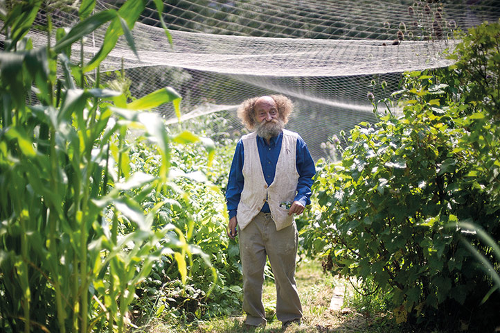 My Cool Allotment: Bristol permaculture guru Mike Feingold