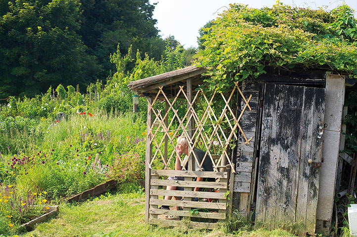 My Cool Allotment: Nell Nile on her flower-filled allotment in Bristol