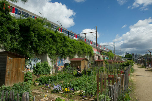 My Cool Allotment: Sophie Laporte's jardin familial in Paris 