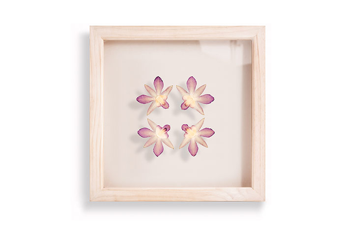 Mother's Day gifts: Hannah Brown framed flowers